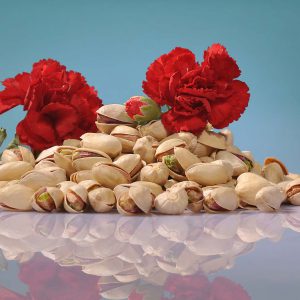 Buy Iranian ( Persian ) pistachios in Canada & USA